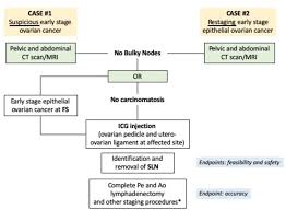 Rous ovarian carcinoma or figo ovarian cancer staging. Sentinel Node Biopsy In Early Stage Ovarian Cancer A Prospective Multicentre Study Selly International Journal Of Gynecologic Cancer