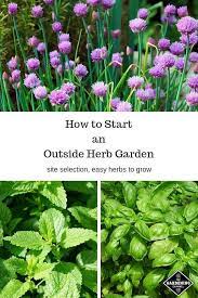 How To Start An Outside Herb Garden Pinner Girl Easy Herbs To Grow Outdoor Herb Garden Planting Herbs