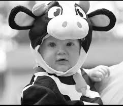 Williams Photography of Fort Mill, SC