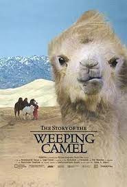 Botul lost the camel he borrowed from larina. The Story Of The Weeping Camel Wikipedia