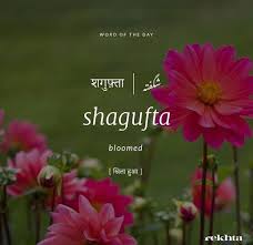 Ø±ÛŒØ®ØªØ§ ÙØ§Ø¤Ù†ÚˆÛŒØ´Ù† urdu love words urdu words with meaning hindi words urdu words with meaning