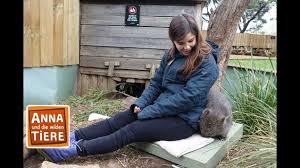 warum der wombat wurfel kackt doku reportage fur kinder anna und d