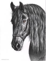 Black And White Animal Drawings Realistic 25 Beautiful And Realistic Animal Drawings Around The World Realistic Animal Drawings Animal Drawings Horse Drawings