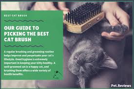 Also, it is advisable to go for a brush that has either metallic or rubberized bristles. 7 Best Cat Brushes With Our 2021 Budget Friendly Pick