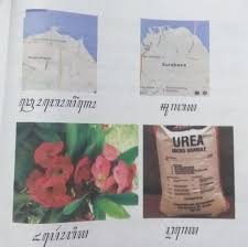 Membacakan geguritan yang ditulis sendiri dengan lafal dan intonasi yang tepat 5. Sadurunge Nerusake Pasinaon Wangsulana Pitakon Pitakon Ing Ngisor Iki 1 Gambar Apa Bae Sing Ana Brainly Co Id