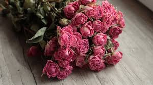 To do this, tie a piece of dental floss to the stems of each flower, then tie the floss to a hanger and put them up to dry. How To Dry And Preserve Roses 3 Natural Methods Utopia