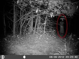 Between Worlds (Cemetery Tours, #2) by Jacqueline E. Smith