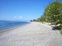 Check spelling or type a new query. Eikona Paralia Koxyli Limnh Eyboia Eviagreece