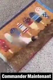 Leroy merlin supports people all around the world improve their living environment and lifestyle, by helping everyone design the huile silicone leroy merlin pheystub25projin from www.leroymerlin.fr. Profil De Diablo Gamer Pierrettemagne Pinterest