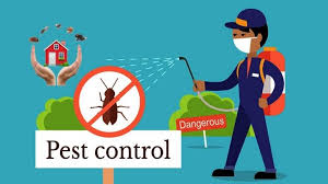 At killingsworth environmental, we have a office buildings and properties are subject to pests like crawling insects, rodents, seasonal pests. Pest Control In Dubai Things You Need To Know News Khaleej Times