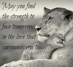 Google Images Prayer For A Sick Friend Image From Httpswww Lion Quotes Lioness Quotes Inspiring Quotes About Life