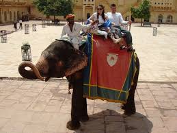 The controversial elephant ride at Amer ...