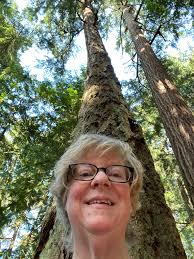 Beautiful walk in forest near Shoreline, WA