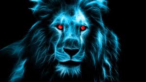 Aug 19, 2019 · asiatic lions (also called asian or indian lions) are slightly smaller than african lions. King Of Red Lions 1080p 2k 4k 5k Hd Wallpapers Free Download Wallpaper Flare