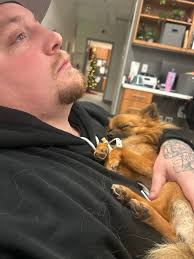 What could be causing my Corgi puppy's seizures?