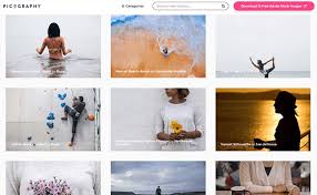 Download royalty free photos, videos and music. 17 Best Stock Photo Websites For 2021 Most Are Free