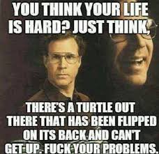 Pin On All Types Of Funny Pictures Funny Memes Funny Jokes When you wanna but life is hard memefulcom from funny cat top 20 funny memes about life struggles , #funnymemes #funnymemes2019.