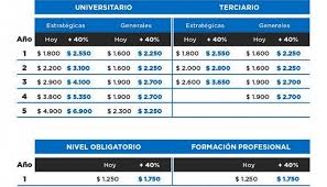 Son parte de un programa de asistencia social. Anunciaron Un Aumento Del 40 En Las Becas Progresar
