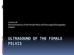 Transvaginal sonography (tvs) is routinely performed as part of a pelvic sonogram in postmenopausal women, and images of the endometrium are frequently obtained. Ultrasound Of The Female Pelvis Ppt Download