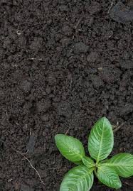 The donor can be an acid, such as nitric acid, sulfuric acid, or carbonic acid. Introductory Chapter Relevance Of Soil Ph To Agriculture Intechopen