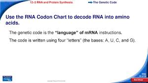 unit 4 inheritance of traits ppt download