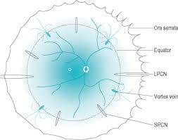 Condensing Lens An Overview Sciencedirect Topics