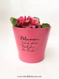Blumentopf Blumentopf Mit Spruch Geschenk Spruch Vase Blumentopf Als Geschenk Gifts Creative Mothers Day