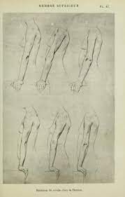 Amara charles has taught quodoushka sexuality workshops since 1990. Nouvelle Anatomie Artistique Du Corps Humain Human Anatomy Drawing Human Anatomy Art Anatomy Art