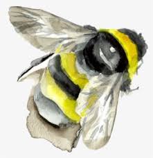 You can paint this 1 hoot art sherpa and. Bumble Bee Watercolor Png Download Watercolor Bumblebee And Flower Transparent Png Kindpng