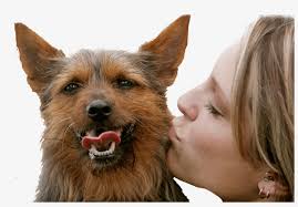 It's the ultimate in pet care, house security & real peace of mind. Hiring A Professional Pet Sitter Is Worth Whatever Www89 Co M Transparent Png 3000x1942 Free Download On Nicepng