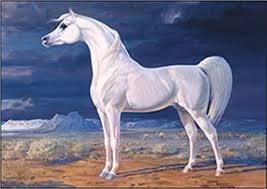 The noun arabian by itself normally refers to arabian horses. Arabianhorses Org Arabian Horses