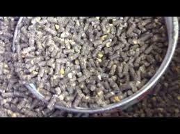 как вырастить цыпленка из яйца в домашних условиях без инкубатора Recept Kombikorma Dlya Kur Myasoyaichnogo Napravleniya Youtube Kury Pticevodstvo Domashnie Pticy