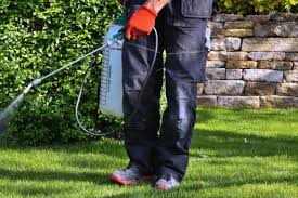 Apple termite & pest control. Residential And Commercial Pest Termite Control Services Company