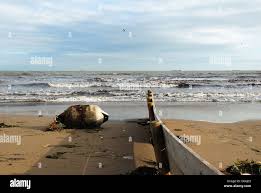 Sottomarina, Chioggia, mare Adriatico, Italia : la spiaggia in un giorno  dinverno Foto stock - Alamy