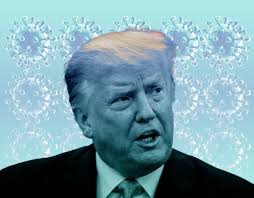 The Flaw in the Twenty-Fifth Amendment