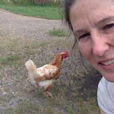 Enjoy sunshine, gardening and horses in Tucson, Arizona, USA