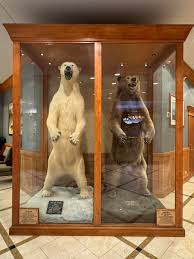 Image result for Beige 1972 Caloric