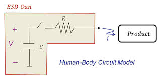 Xc 203 torso human anatomical model. Human Body Model And Electrostatic Discharge Esd Tests In Compliance Magazine