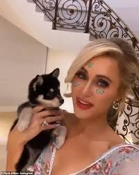 There is a great deal of diversity, both temperamental and physical, within this group, a history of hunting assistance often being the only common bond among some of the hound breeds. Paris Hilton Declares Simple Life Vibes As She Flaunts Her Figure In A Form Fitting Red Mini Dress Daily Mail Online
