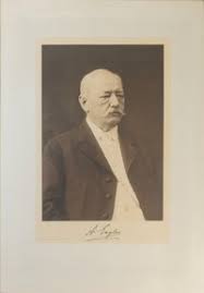 Image result for Agelanthus tanganyikae