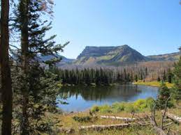 We did not find results for: Flat Tops Wilderness Meeker Chamber Of Commerce