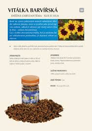 Image result for foto Vitálka