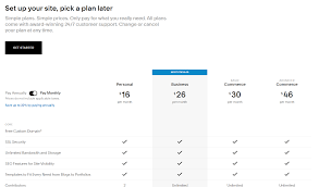 You can skip through any of these steps, but i found them helpful. Squarespace Pricing Websitebuilderguide