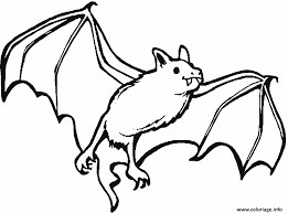 Download image dessin chauve souris 2021 free to print. Coloriage Une Chauve Souris Vampire Dessin Halloween Chauve Souris A Imprimer