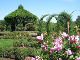 File Elizabeth Park Hartford Ct Rose Garden 1 Jpg Gardening For Beginners Beautiful Gardens Garden Venue