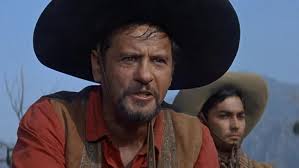 If God didn't want them sheared, he would not have made them sheep."