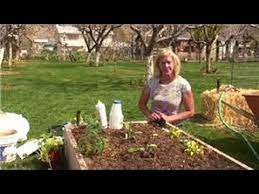 You don't have to suffer through a snail infestation or resort to using chemicals to get rid of them. Vegetable Gardening How To Keep Snails Out Of A Vegetable Garden Youtube