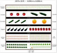 Free Vegetable Garden Plans Vegetable Garden Planner Vegetable Garden Layout Vegetable Garden Planner Home Vegetable Garden Garden Planner
