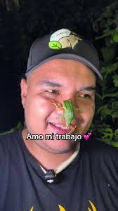 Oso hormiguero de 2 cabezas? #animales #fauna #naturaleza #osohormigue...