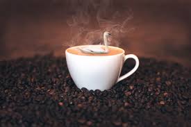 Swappuccino Tamino Schupbach Bict Ag Kaffee Gesund Kaffee Trinken Kaffeebohnen